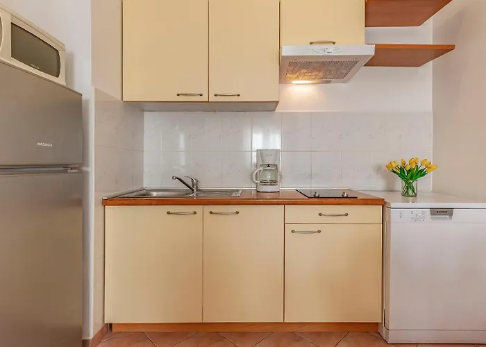 Rok 4 By Interhome Apartment Pula